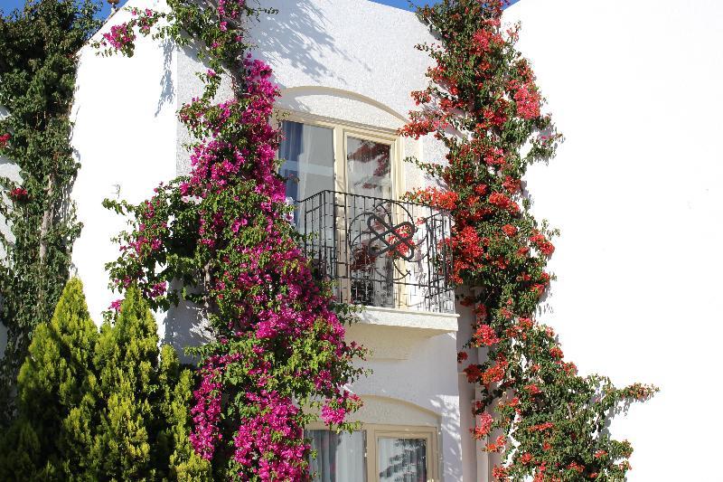 Otel Serpina (adults Only)